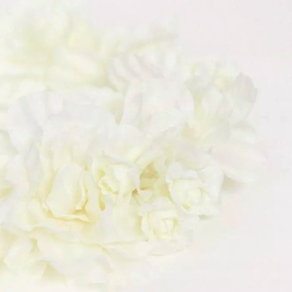 ✨NEW Bride Wreath Boho Flower Headband Crown Garland Wedding Off-White Festive ✨